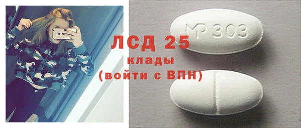 2c-b Бородино