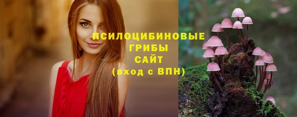 бошки Михайловск