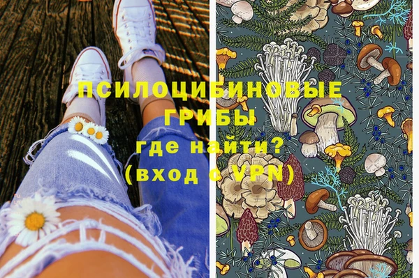 ешки Михайлов