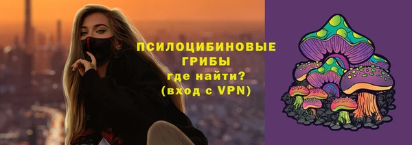 ешки Михайлов